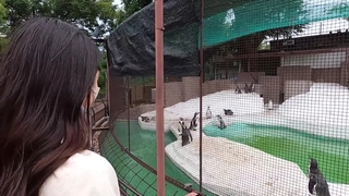 娇妻 雪白 呻吟-美女学生妹子是男友的乖母狗，戴着狗炼项圈乖乖让男友无套抽插~